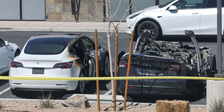 Trump Calls Tesla Vandals ‘Terrorists’