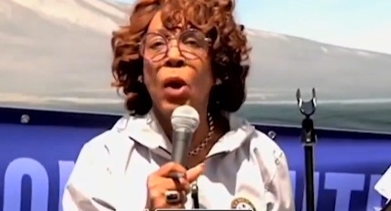 Maxine Waters Suggests Melania Trump Could Be Deported — Elon Musk Responds With Warning