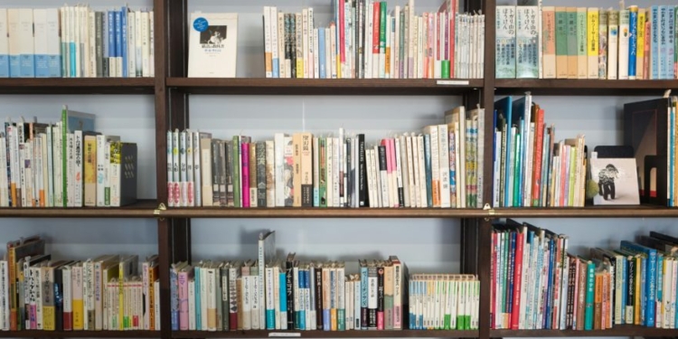 Biden-Appointed Judge Blocks Iowa From Removing Obscene Books From Children’s Libraries