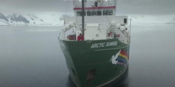 EXCLUSIVE: How Greenpeace’s Pipeline Protests Ultimately Led It To The Brink Of Bankruptcy