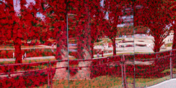 USAA’s Wall of Poppies Honors Fallen Service Members