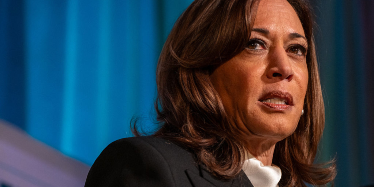 Kamala Harris Mocked as She Attends Met Gala