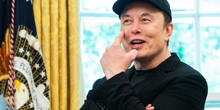 Musk Leaves DOGE With a Black Eye — Literally 