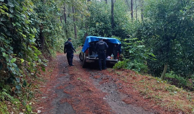 Alcalde Mexicano Denuncia Narco-Campamento de Entrenamiento con Terroristas Colombianos