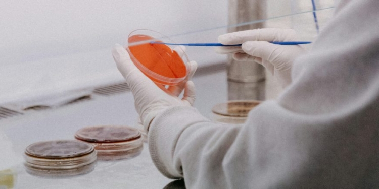 ‘It’s A Good Start’: Trump’s NIH Takes Step To Hold Risky Research Labs Accountable