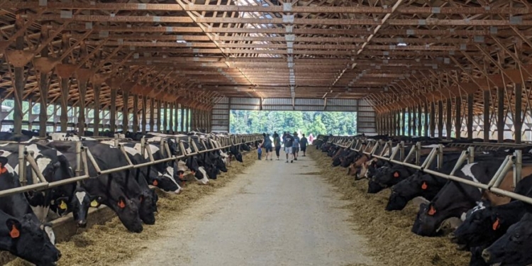 White Wisconsin Dairy Farmer Sues USDA For Holding Out On Axing Biden-Era DEI Programs