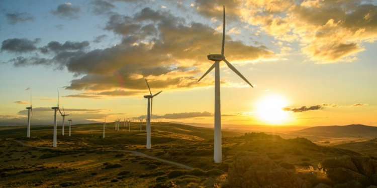 Trump Halts Preferential Treatment For ‘Unreliable, Foreign-Controlled’ Wind Energy