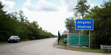 Judge Puts Temporary Hold on ‘Alligator Alcatraz’ Construction
