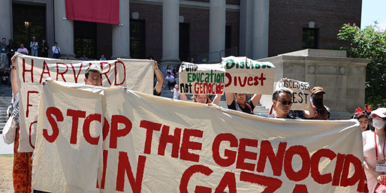 Harvard Blamed Jewish Victim Assaulted At Campus Protest, House Committee Alleges