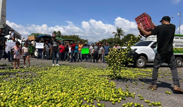 Cartel Protegido por Gobierno Extorsiona y Asesina a Citrícolas en Michoacán