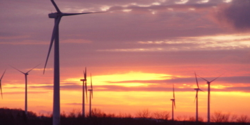 EXCLUSIVE: Biden Admin Streamlined Path For Offshore Wind Boondoggles Despite Internal Red Flags