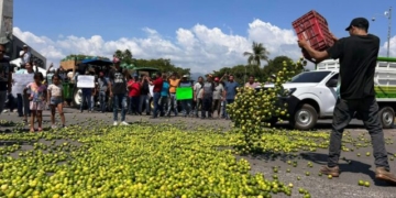 Government Protected Terrorist Cartel Extorts, Kills Produce Growers in Michoacan