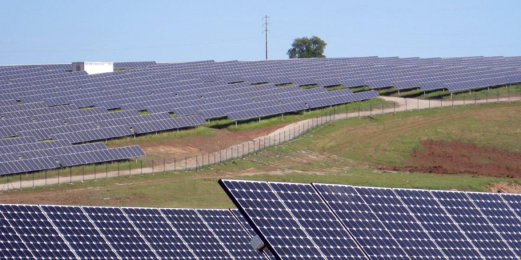 Trump Admin Shakes Up Biggest Solar Boondoggle In North America