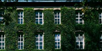 Ivy League University Hit With Cyberattack Affecting Thousands Of Personal Records