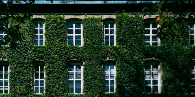 Ivy League University Hit With Cyberattack Affecting Thousands Of Personal Records