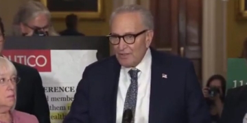 NEWT GINGRICH: Chuck Schumer’s Shutdown Strategy