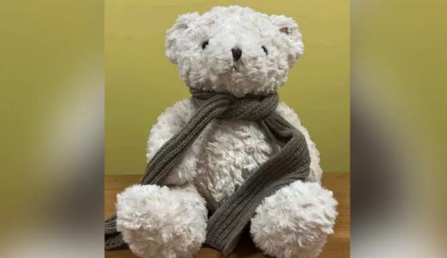 Watchdog Group Issues Report On Teddy Bear