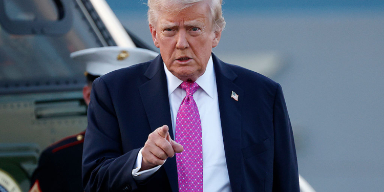 Trump Talks Defense Spending: ‘NATO Calls Me Daddy’