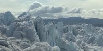 Greenlander Opposes America Taking Over His Island Because He Hunts ‘Cute’ Whales, Seals