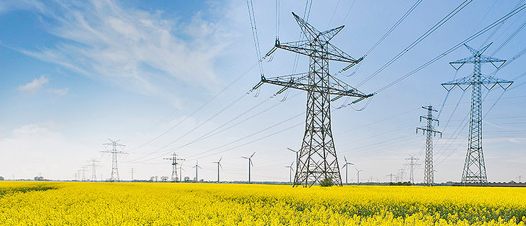 STEVE MILLOY: Louisiana Larceny And President Trump’s Lousy Friends