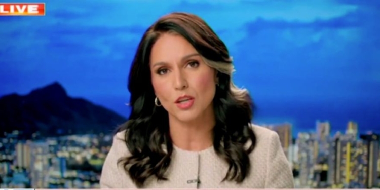 Tulsi Gabbard Reportedly Broke With Trump On Renewing Deep State Spy Tool