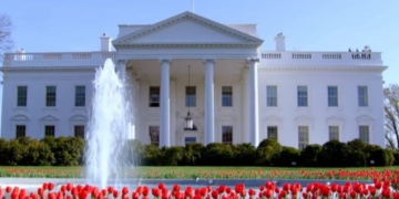 Gunshots Fired Near White House, National Mall