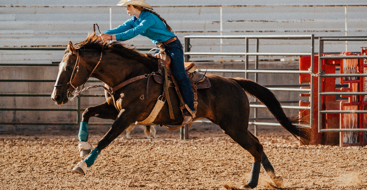 Teen Competitor Arrested After Three Horses Stabbed at Major Nevada Event