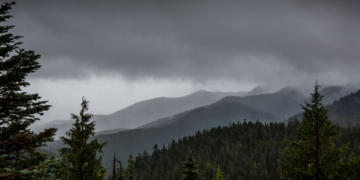 Mystery Finally Solved: Human Remains Found in National Park Identified After 25 Years