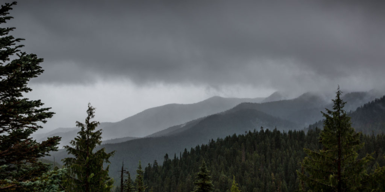 Mystery Finally Solved: Human Remains Found in National Park Identified After 25 Years