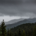 Mystery Finally Solved: Human Remains Found in National Park Identified After 25 Years