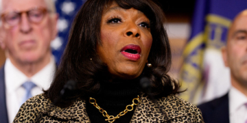 Democrat Defends ActBlue CEO as GOP Probe Intensifies