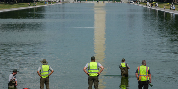 Green Algae Returns to DC Reflecting Pool