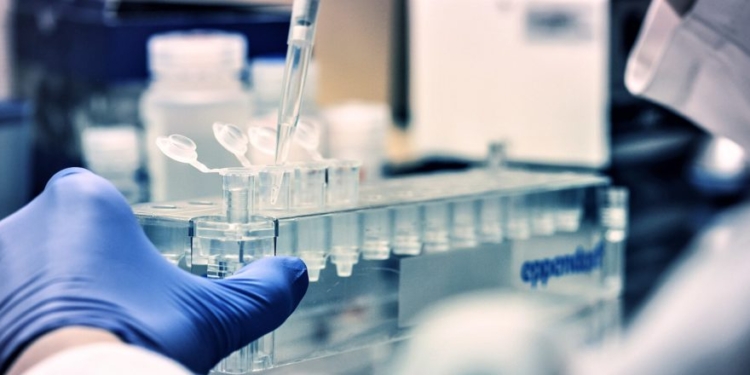 NIH Researchers Allegedly Smuggled Monkeypox Into America, Lied About It